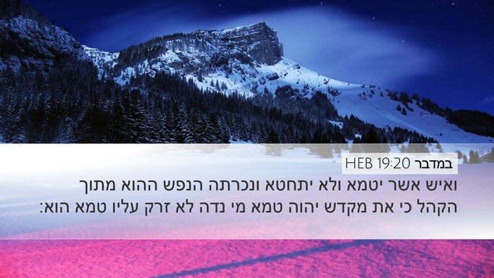 במדבר 19:20 HEB Bible Verse Image