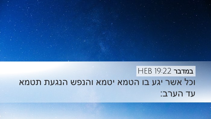 במדבר 19:22 HEB Desktop Wallpaper - וכל אשר יגע בו הטמא יטמא - Desktop Bible Verse Wallpaper