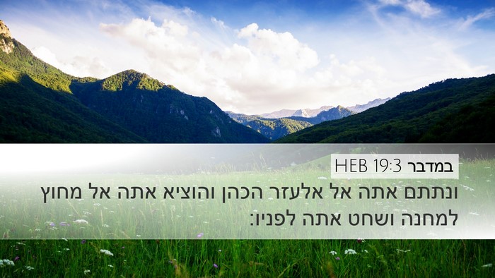 במדבר 19:3 HEB Bible Verse Image