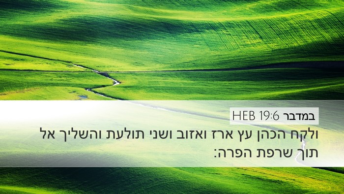 במדבר 19:6 HEB Desktop Wallpaper - ולקח הכהן עץ ארז ואזוב ושני - Desktop Bible Verse Wallpaper