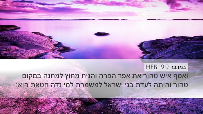 במדבר 19:9 HEB Desktop Wallpaper - ואסף איש טהור את אפר הפרה - Desktop Bible Verse Wallpaper