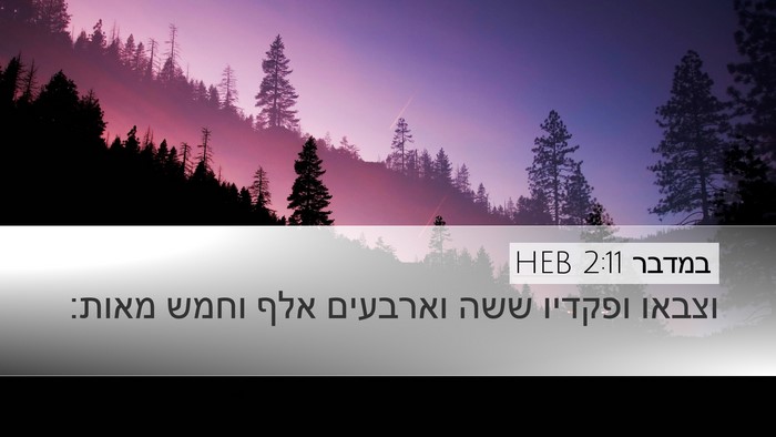 במדבר 2:11 HEB Bible Verse Image
