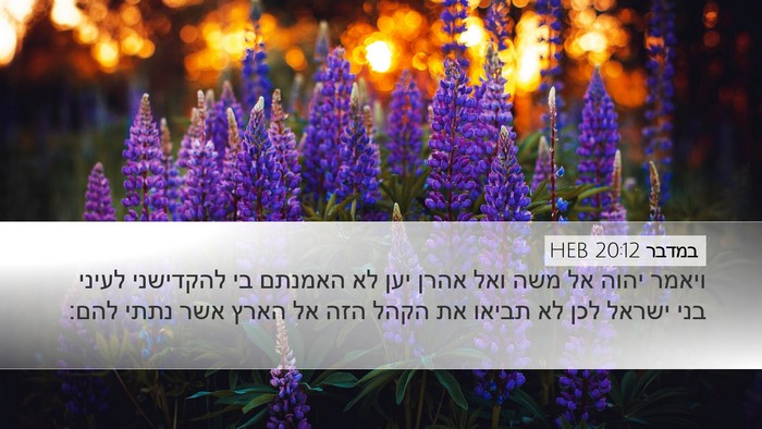 במדבר 20:12 HEB Desktop Wallpaper - ויאמר יהוה אל משה ואל אהרן - Desktop Bible Verse Wallpaper