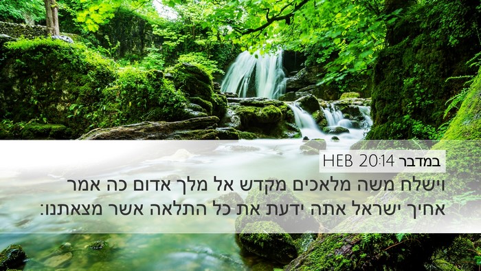במדבר 20:14 HEB Bible Verse Image