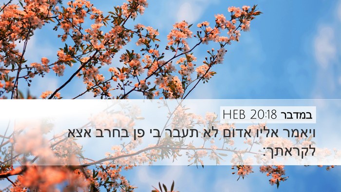 במדבר 20:18 HEB Desktop Wallpaper - ויאמר אליו אדום לא תעבר בי - Desktop Bible Verse Wallpaper