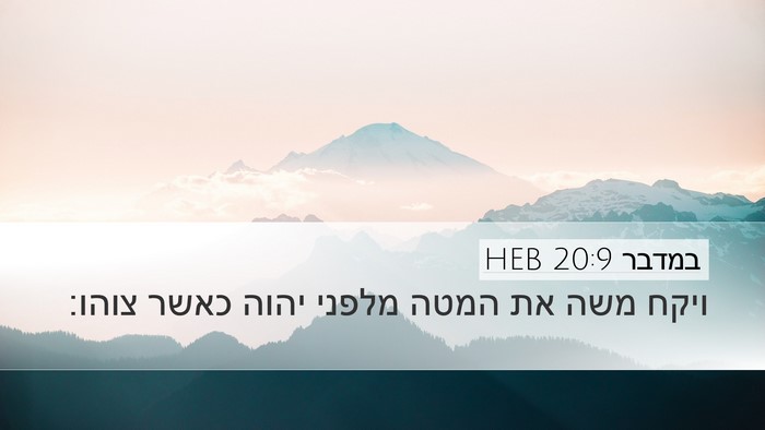 במדבר 20:9 HEB Bible Verse Image