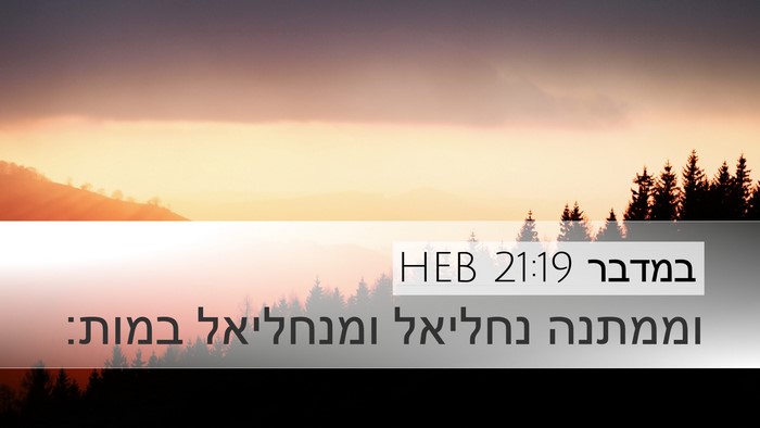 במדבר 21:19 HEB Bible Verse Image
