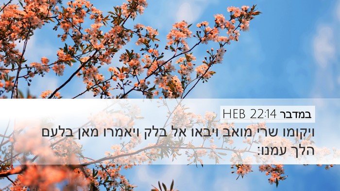 במדבר 22:14 HEB Bible Verse Image