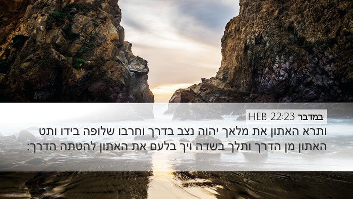 במדבר 22:23 HEB Bible Verse Image
