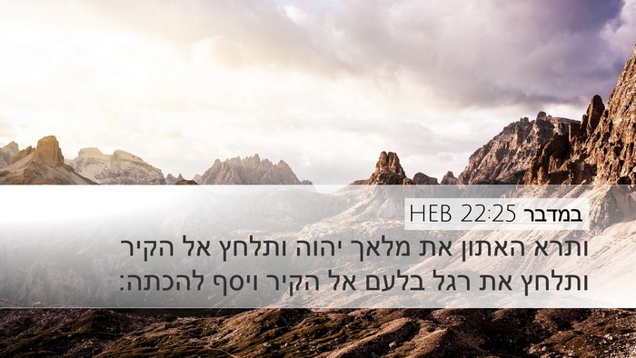 במדבר 22:25 HEB Desktop Wallpaper - ותרא האתון את מלאך יהוה - Desktop Bible Verse Wallpaper