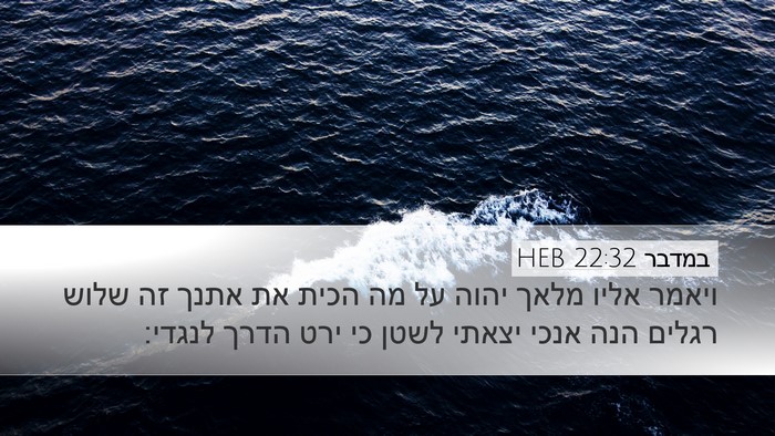 במדבר 22:32 HEB Bible Verse Image