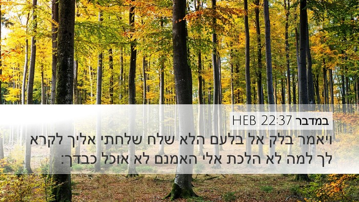 במדבר 22:37 HEB Bible Verse Image