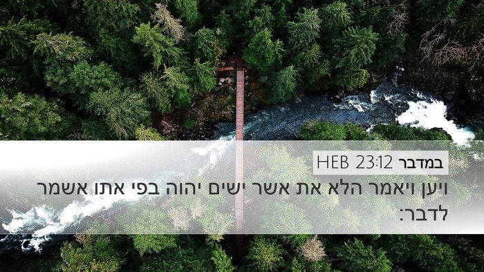 במדבר 23:12 HEB Bible Verse Image
