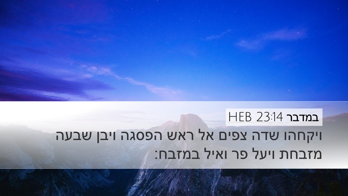 במדבר 23:14 HEB Bible Verse Image