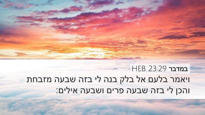 במדבר 23:29 HEB Bible Verse Image