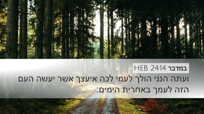 במדבר 24:14 HEB Bible Verse Image