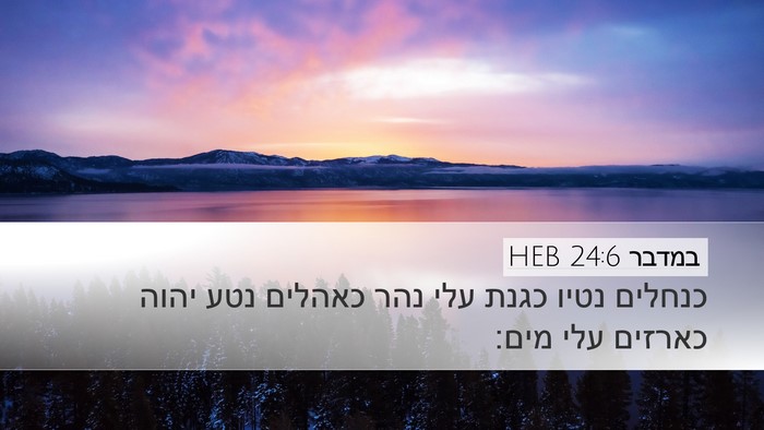 במדבר 24:6 HEB Desktop Wallpaper - כנחלים נטיו כגנת עלי נהר - Desktop Bible Verse Wallpaper