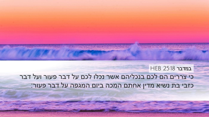 במדבר 25:18 HEB Bible Verse Image