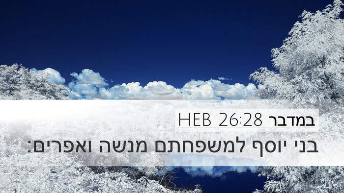 במדבר 26:28 HEB Bible Verse Image