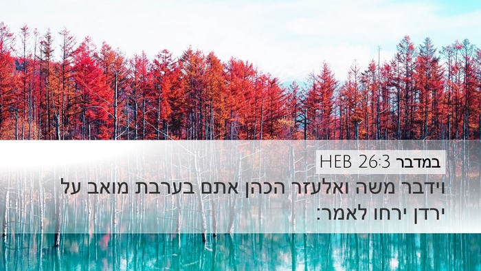 במדבר 26:3 HEB Bible Verse Image