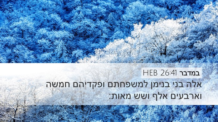 במדבר 26:41 HEB Bible Verse Image