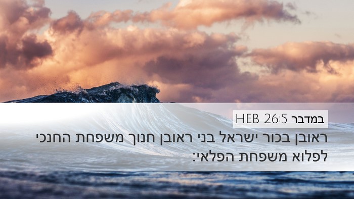 במדבר 26:5 HEB Bible Verse Image