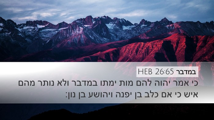 במדבר 26:65 HEB Bible Verse Image