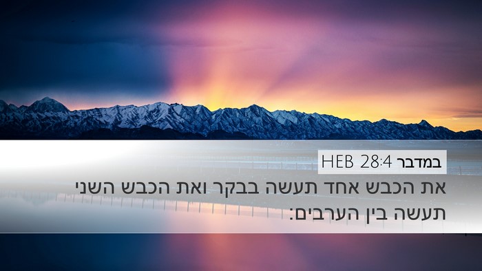 במדבר 28:4 HEB Desktop Wallpaper - את הכבש אחד תעשה בבקר ואת - Desktop Bible Verse Wallpaper