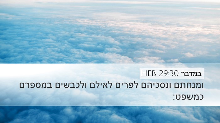 במדבר 29:30 HEB Desktop Wallpaper - ומנחתם ונסכיהם לפרים לאילם - Desktop Bible Verse Wallpaper