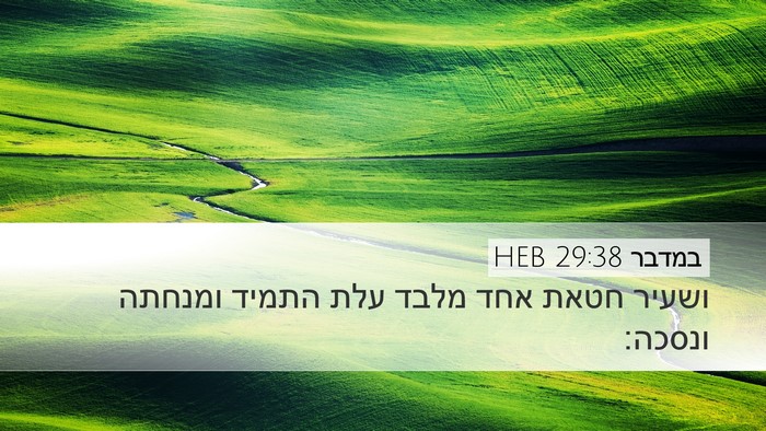 במדבר 29:38 HEB Bible Verse Image