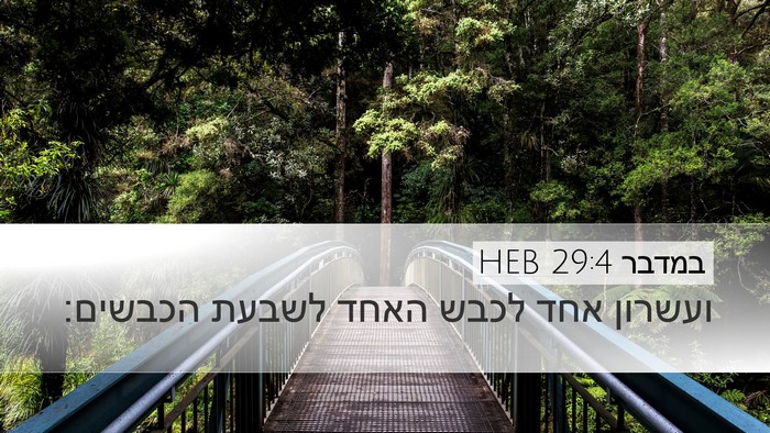 במדבר 29:4 HEB Desktop Wallpaper - ועשרון אחד לכבש האחד לשבעת - Desktop Bible Verse Wallpaper