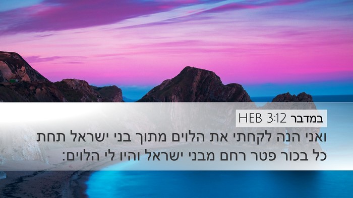 במדבר 3:12 HEB Bible Verse Image