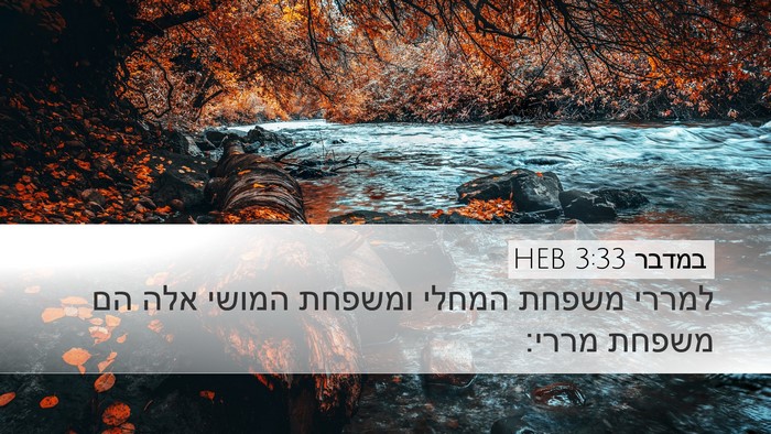 במדבר 3:33 HEB Bible Verse Image
