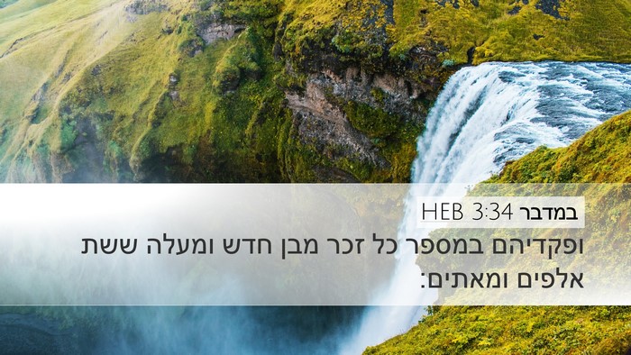 במדבר 3:34 HEB Desktop Wallpaper - ופקדיהם במספר כל זכר מבן - Desktop Bible Verse Wallpaper