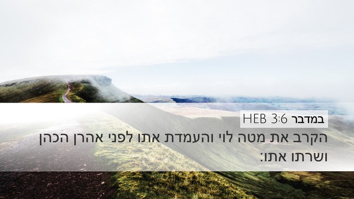 במדבר 3:6 HEB Bible Verse Image
