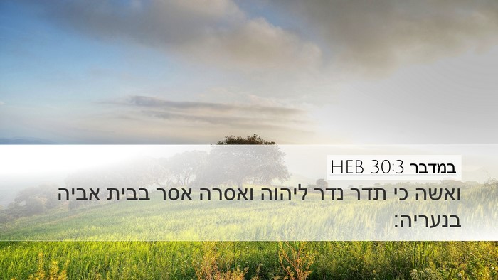 במדבר 30:3 HEB Desktop Wallpaper - ואשה כי תדר נדר ליהוה ואסרה - Desktop Bible Verse Wallpaper