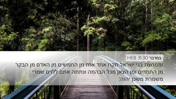 במדבר 31:30 HEB Bible Verse Image