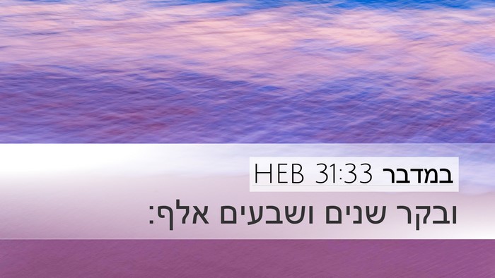 במדבר 31:33 HEB Desktop Wallpaper - ובקר שנים ושבעים - Desktop Bible Verse Wallpaper