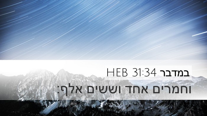 במדבר 31:34 HEB Desktop Wallpaper - וחמרים אחד וששים - Desktop Bible Verse Wallpaper