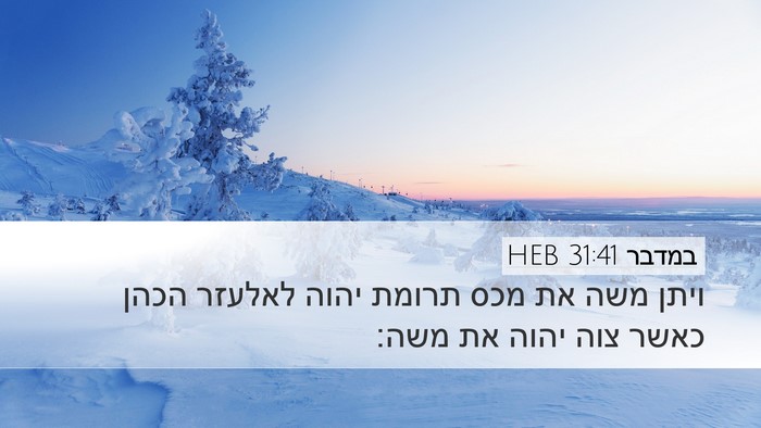 במדבר 31:41 HEB Bible Verse Image