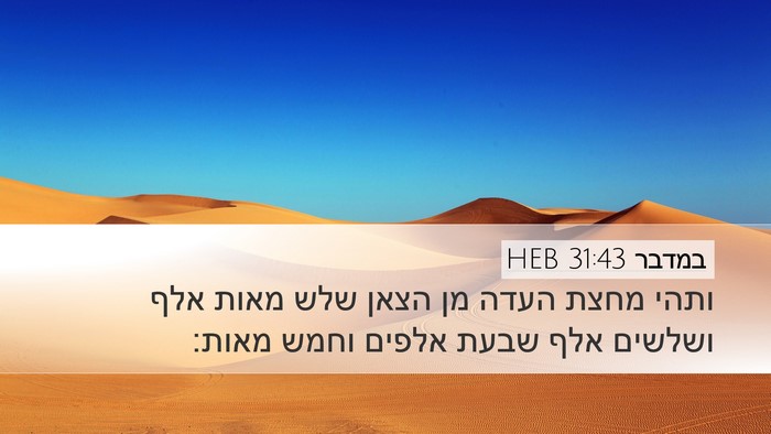 במדבר 31:43 HEB Desktop Wallpaper - ותהי מחצת העדה מן הצאן שלש - Desktop Bible Verse Wallpaper