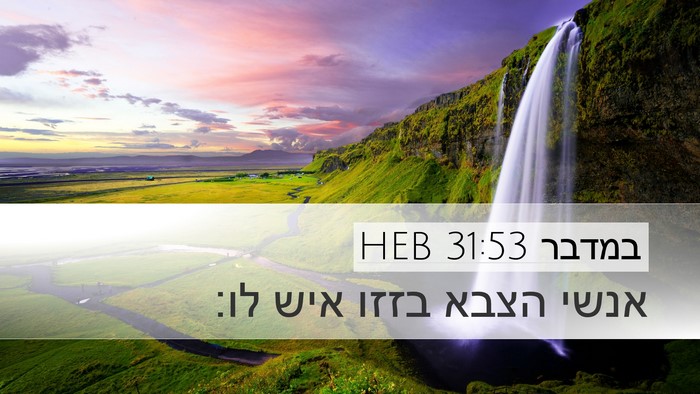 במדבר 31:53 HEB Desktop Wallpaper - אנשי הצבא בזזו איש - Desktop Bible Verse Wallpaper