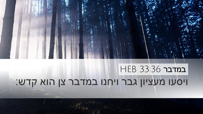 במדבר 33:36 HEB Bible Verse Image