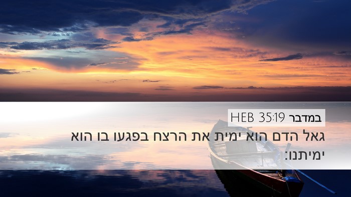 במדבר 35:19 HEB Bible Verse Image