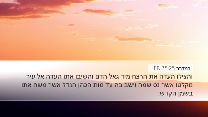 במדבר 35:25 HEB Bible Verse Image