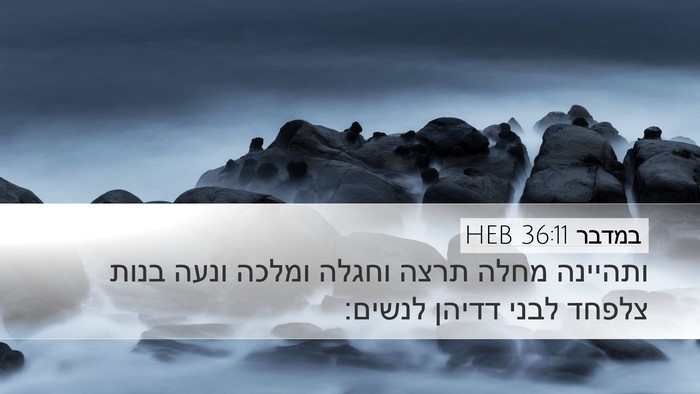 במדבר 36:11 HEB Desktop Wallpaper - ותהיינה מחלה תרצה וחגלה - Desktop Bible Verse Wallpaper