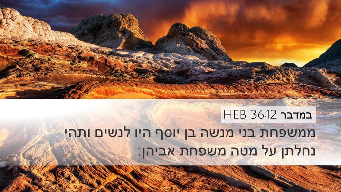 במדבר 36:12 HEB Desktop Wallpaper - ממשפחת בני מנשה בן יוסף היו - Desktop Bible Verse Wallpaper