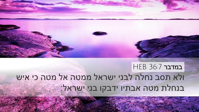 במדבר 36:7 HEB Desktop Wallpaper - ולא תסב נחלה לבני ישראל - Desktop Bible Verse Wallpaper