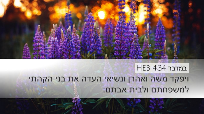 במדבר 4:34 HEB Desktop Wallpaper - ויפקד משה ואהרן ונשיאי - Desktop Bible Verse Wallpaper