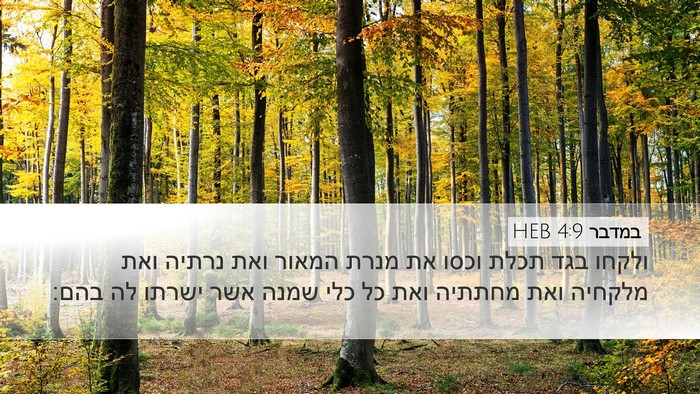 במדבר 4:9 HEB Bible Verse Image